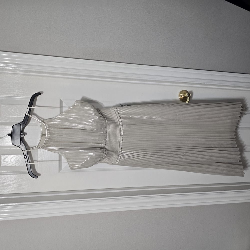 Express Silver Pleated Midi Dress